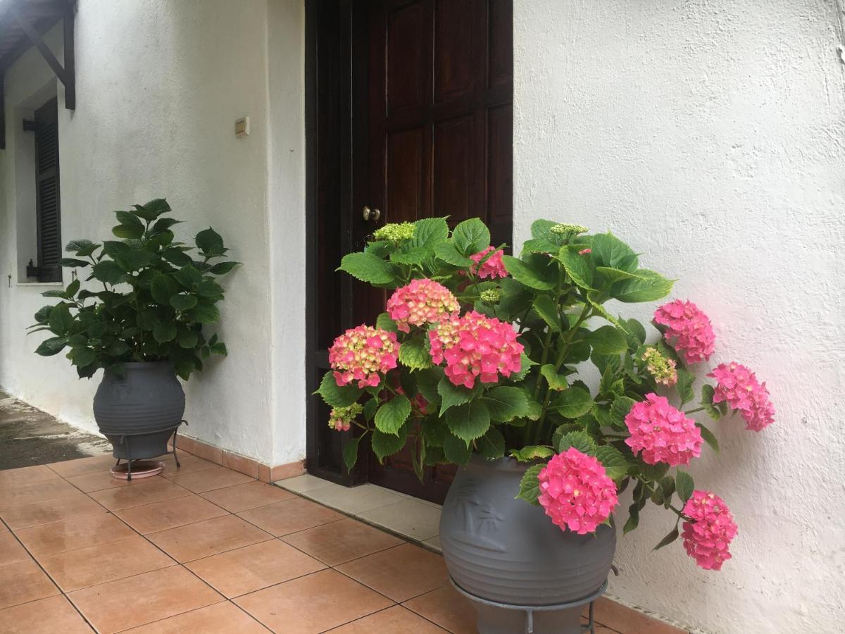 Sarakinas Farm House Kalambaka Exterior photo